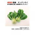 小林種苗 チンゲンサイ種子 陽春　6158　2dl