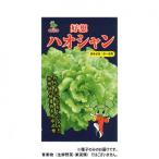 小林種苗 レタス種子 ハオシャン (好想)　5424　20ml