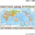 ショッピングパズル ビバリー ジグソーパズル 地図 世界全図 1000ピース 1000-152