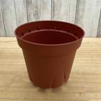 スリットポット 10cm (１鉢)