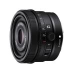 SONYSEL40F25GEマウン...