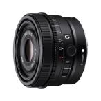 SONYSEL50F25GEマウン...