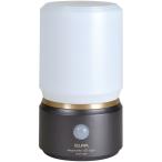 ELPA HLH-1201(DB) もてなしライト、据置（小） ダークブラウン