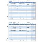  Sorimachi SR4101 перевод квитанция 