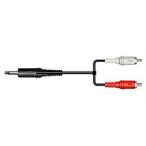 JVC Kenwood CN-132A вилка сетевого шнура X2- Mini штекер (3M)