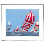 浅沼商会 300820 FUJICOLOR アルミ額縁 フォトフレーム A105A 半切 シルバー