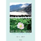  коробка корень *. камень .. 4 сезон история ~16 лет .. сделал автор .... камень .158 выбор ~ ( путешествие документ )