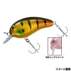 ダイワ ルアー ピーナッツ SSR ゴージャスギル