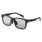 ダイワ 偏光グラス TLX 027 トゥルービュー