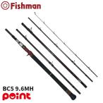  Fishman BC5 Be si- пять 9.6MH