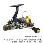 シマノ スピニングリール アオリスタ ＢＢ ４０００