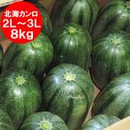 北海道 カンロ 送料無料 北海カンロ