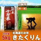 米 北海道米 きたくりん お米 5kg 米 北海道米 当麻産 籾貯蔵 今摺米 きたくりん 米 5kg