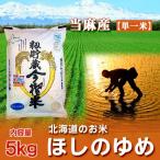 北海道 米 ほしのゆめ米 5kg 北海道米 当麻産 籾貯蔵 今摺米 ほしのゆめ 米 5kg 米 5キロ