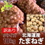 北海道 訳あり 玉ねぎ 送料無料 たまねぎ タマネギ 玉葱 10kg ( 10キロ ) Sサイズ たまねぎ わけあり 玉ねぎ