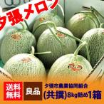 夕張メロン 送料無料 夕張メロン 8kg