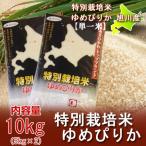 新米 米 10kg 北海道産米 10kg 送料無料 ゆめぴりか 10kg 米 令和 3年 特別栽培米 有機肥料使用 ゆめぴりか 米 ゆめぴりか 10kg(5kg×2) 価格 6000 円