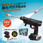  magical woshu мойка высокого давления дополнение аккумулятор комплект (12+1 позиций комплект ) 13 позиций комплект беспроводной мойка водоснабжение не необходимо заряжающийся . покупка 