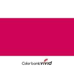 アーテック ArTec VIVID OC 50ML 941ローズバイオレット
