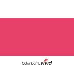 アーテック ArTec VIVID OC 50ML 964ピンク