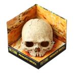 (10 шт. комплект )ekizo tera GEX EXOTERRA Skull PT2855 рептилии для ракушка ta- орнамент .. дом автобус King спот W12×D15×H11.5cm