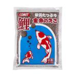 (6個セット) イトスイ コメット 鯉・