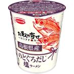 ショッピングのどぐろだし塩 エースコック お取り寄せNIPPON 島根県産のどぐろだし塩ラーメン 12個（1月中旬頃入荷予定）