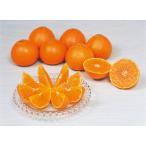 お歳暮 2025 ギフト 愛媛県産 紅まどんな 秀品（３ｋｇ） 1778036 産直農産 25-1042-511 【メーカー直送】