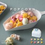  внутри праздник . скидка . предмет подарок жарение кондитерские изделия pop! Popcorn! LUXAUS 2025 GM497