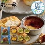 お中元 2026 内祝い 冷菓 アイス  プ�