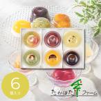 お菓子  ギフト お礼 入学 内祝い  2026 洋菓子 たかはたファーム  フルーツゼリー・ダブルテイスト6個詰合せ SC-06A  挨拶 引越し   C7158109
