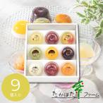 お菓子  ギフト お礼 入学 内祝い  2026 洋菓子 たかはたファーム  フルーツゼリー・ダブルテイスト9個詰合せ SC-09  挨拶 引越し   C7158116