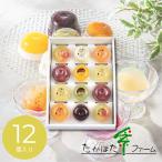 お菓子  ギフト お礼 入学 内祝い  2026 洋菓子 たかはたファーム  フルーツゼリー・ダブルテイスト12個詰合せ S C-12A  挨拶 引越し   C7158120