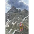 トライアングルの山