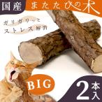 猫 おもちゃ 猫じゃらし またたび 