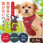 【お買い得】犬用ハーネス 抜けない 器官に優しい リード付 胴輪 型犬 タータンチェック 1〜3号 9709 ポンポリース※カラーはレッドのみとなります