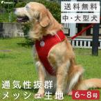 犬用ハーネス、胴輪