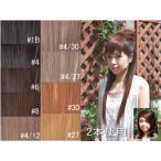 ウイッグ/ウィッグ/ウィッグ/エクス