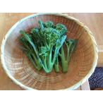  хорошо продающийся товар No.1 нет пестициды! палочка senyo-ru150g( стебель .... прекрасный тест .. стебель брокколи )