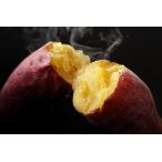 [ влажный . толщина ].... .. рефрижератор .... комплект 