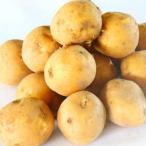 [ новый ...] нет пестициды картофель (...)1kg[ гладкий ...!]