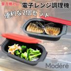 ショッピング電子レンジ 電子レンジ調理器 魚 2個セット 焼き魚 レンジで焼き魚 レンジ調理器具 電子レンジ魚焼き器 レンジ焼き魚 HDL-5444 爆買
