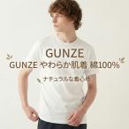  Gunze внутренний рубашка мягкость нижнее белье хлопок 100% 2 шт. комплект мужской короткий рукав круглый вырез антибактериальный дезодорация SV61142 GUNZE нижнее белье нижний одежда джентльмен нижнее белье белый одноцветный . пот стандартный удобный 