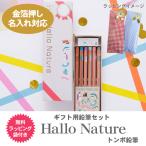箔押し 名入れ 金 鉛筆 トンボ鉛筆 ハローネイチャー ギフト用鉛筆セット 鉛筆 かきかたえんぴつ 12本 ラッピングセット 金箔 2B MP-KHN2-2B