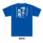  спорт футболка футбол лошадь олень B-2 голубой 