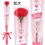 カーネーションかすみリボンラップ（中）　35cm(ラップ込)　布・PE・OPP【1本入】