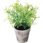 ボックスウッドポット　H22×W22cm　PE・PS・PP・スチール【1ヶ入】