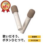 期間限定500円OFF Aladdin Mic2（アラジ