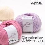 毛糸 並太 スキー毛糸 シティーペールカラー(5玉入) 5玉入1袋 毛 ウール 取寄商品