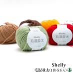 ショッピング毛糸 毛糸 並太 スキー毛糸 シェリー毛混並太(5玉) 5玉入1袋 アクリル 毛糸のポプラ